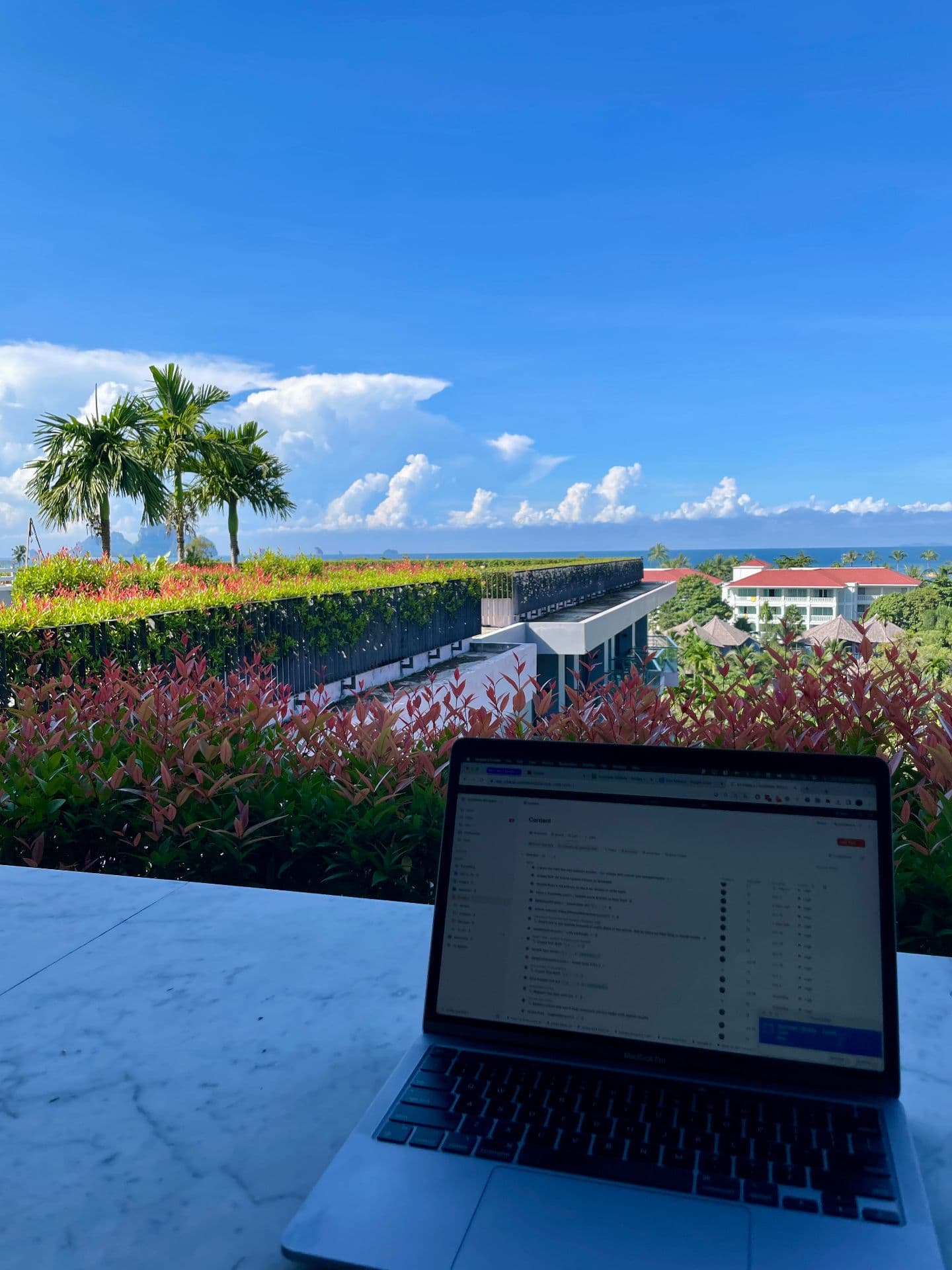 Brady analyzing SEO data and growth metrics